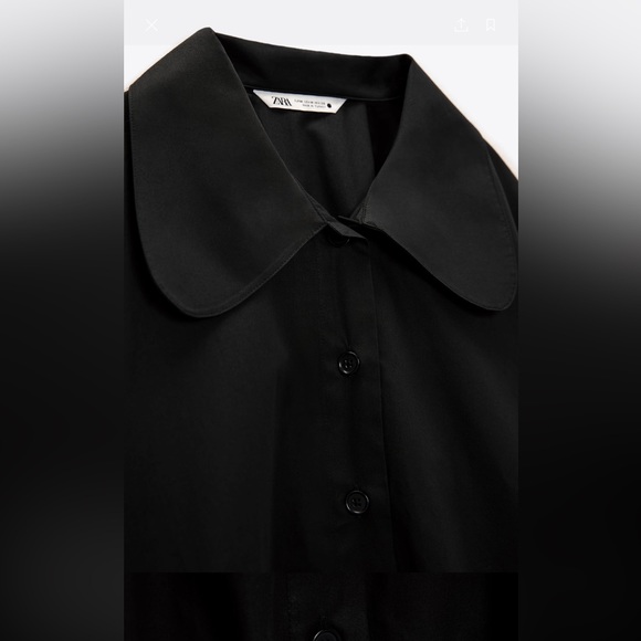 BIG COLLAR POPLIN DRESS - Picture 10 of 10